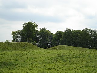 Danebury Hill