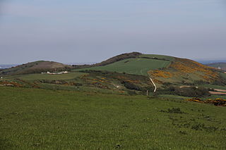 Ridgeway Hill Viking burial pit